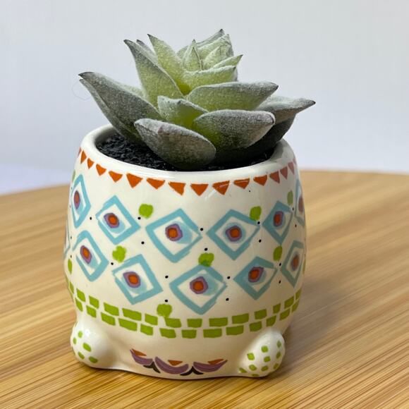 Natural life Blue Green Cutest Little Turtle Mini Faux Succulent Decor - Picture 3 of 8